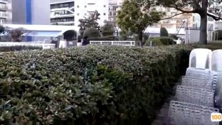 爬出龙蛋后我成了团宠,赛马娘第二季高清在线观看免费,国产成d人🐓